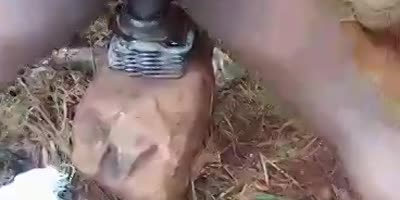 Something To Try This Weekend