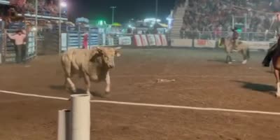 Idaho Bull Attacks Rodeo Spectators