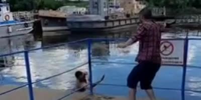 No diving.