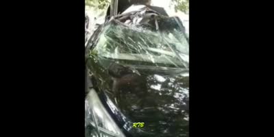3 Crushed in a Truck vs Car Crash