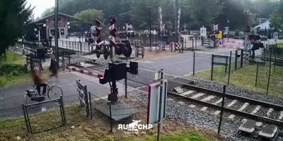 Close Call For Frogger In Netherlands
