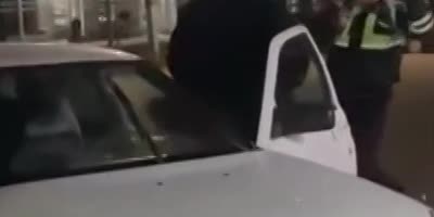 Lada Driver Gets Into A Street Fight With Traffic Cop In Russia