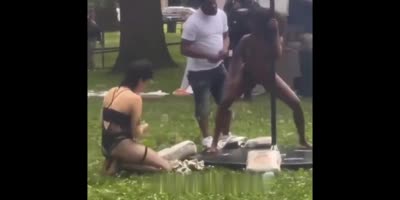 Pop-up stip club pops up in Chicago park.
