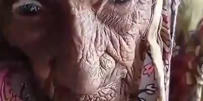 They Say This Pakistani Woman Is 300YO