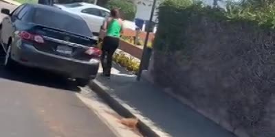 Stay Here Lady