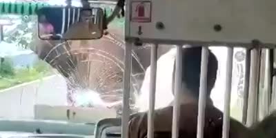 Elephant Attacks A Bus In India