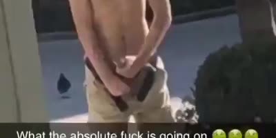 Dude !