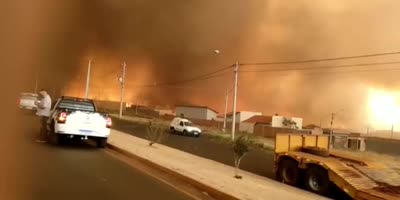 Beauty Of The Local Apocalypse