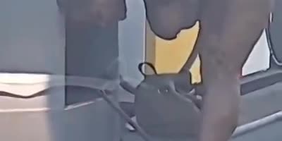 I don't even know what to say about this one...