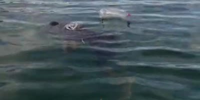 Visiting Drowned Guy