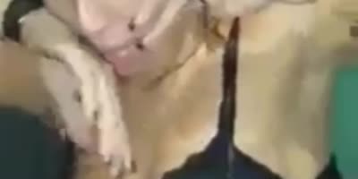 Italian MDMA (?)