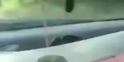 Naked Estonian guy jumps out car
