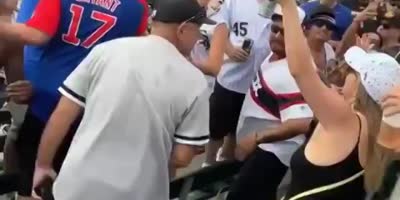 Cubs & White Sox Fans Fighting