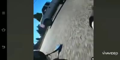 Bro, you stupid.
