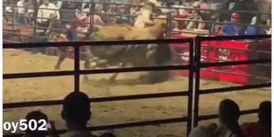 Bullfighter Loses The Game In Guatemala