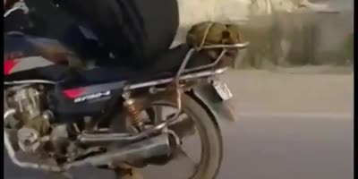 Egyptian Man Riding His Motorcycle Like A Kamel Hits the back Of A Car
