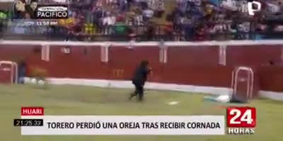 Rodeo Clown Injuried By Bull