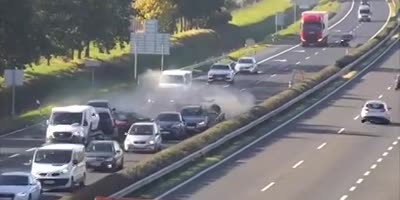 Quick reflexes!