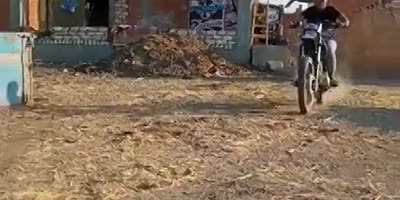 Fatal bike stunt