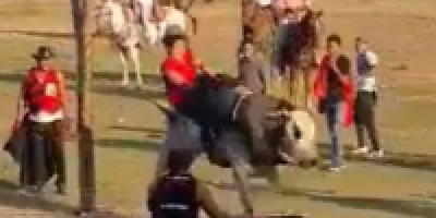 Bull Show Accident Leaves Woman With An Armed Broken