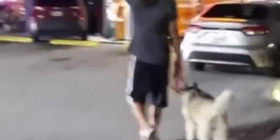 How They Park In Miami