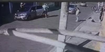 Driver Shoots Thieves In Brazil