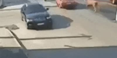 bull attacks man in traffic