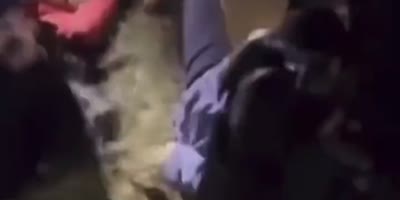 Astroworld Incident