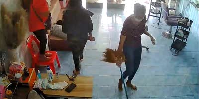 Cat Brings The Snake Causing Chaos In Thai Saloon