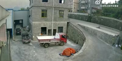 Crazy Boar Jumps Off Height, Attacks Construction Workers In China