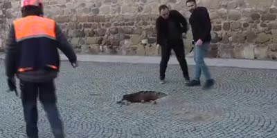 Woman fall into well (rescued)