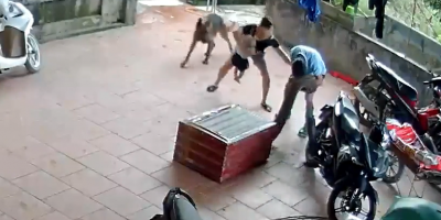 Man Gets Bitten In Face By Huge Snake In Vietnam