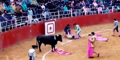 Bullfighter Gets It Bad