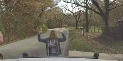 Arkansas traffic stop shootout(R)