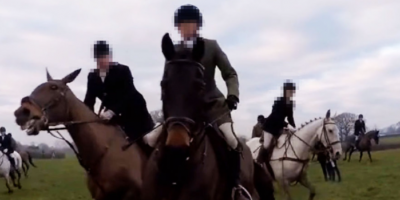 UK: Anti-hunting activist has been left with concussion after he was ridden down
