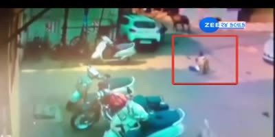 Trampled By Bull!