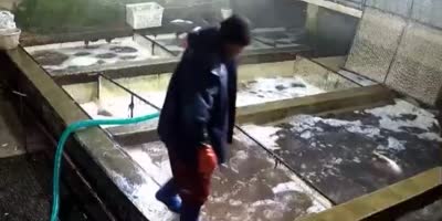 Wet Work Accident
