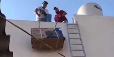 Losers Of The Day