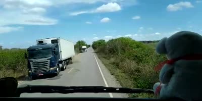 Trucker Gets Surprised !