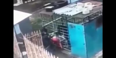 Caged bear gets ahold of woman's arm(R)