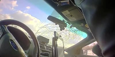 Surprise For Trooper