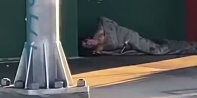 Zombie Worm Spotted In LA