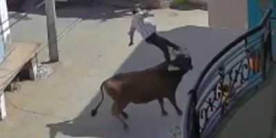 Lazy Bull Attacks Man In India
