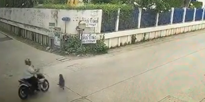 Dog Causes Motorcycle Accident In Thailand