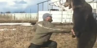 Drunk Russian rodeo.