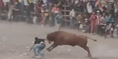 Man Destroyed By Angry Bull In Giatemala
