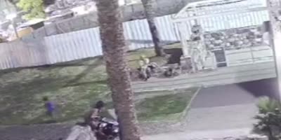 Unlucky woman gets splattered by falling tree(R)