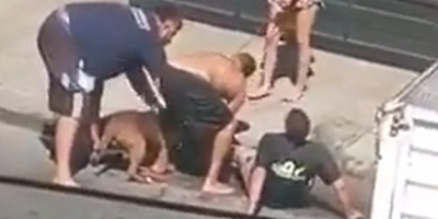 Man Mauled By Dog In Argentina
