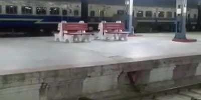 Elephant Inside A Railway Station In India.