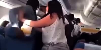 Fight On The Plane In South Africa